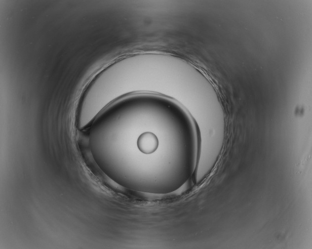 X0000093720293200711060944