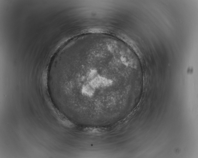 X0000093720297200711060944