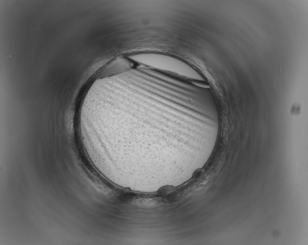 X0000093720299200711060944