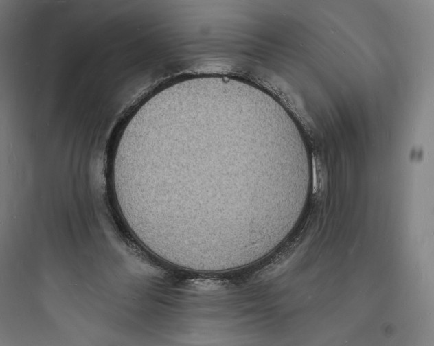 X0000093720300200711060944