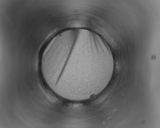 X0000093720304200711060944