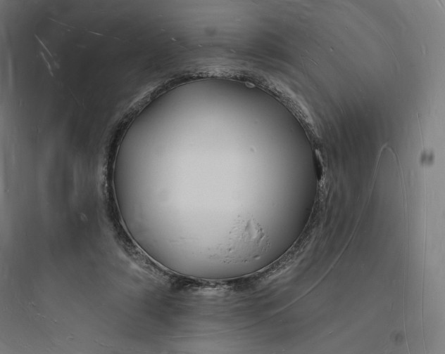 X0000093720306200711060944