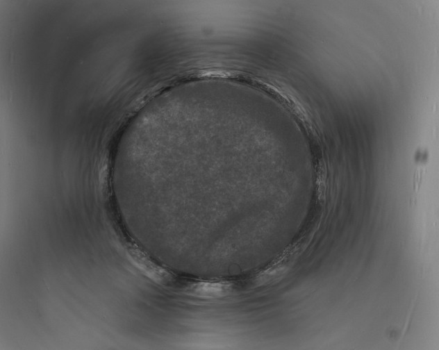 X0000093720314200711060943