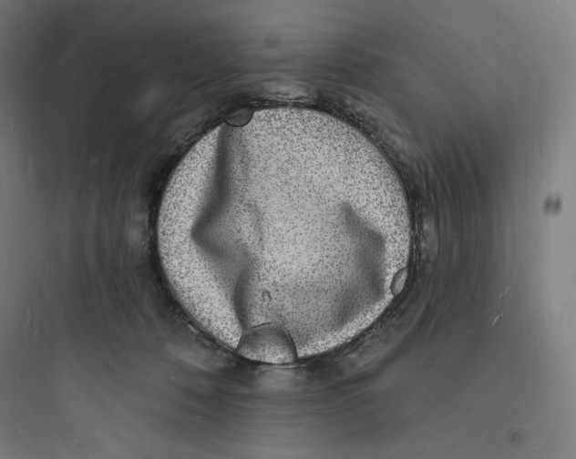 X0000093720320200711060943