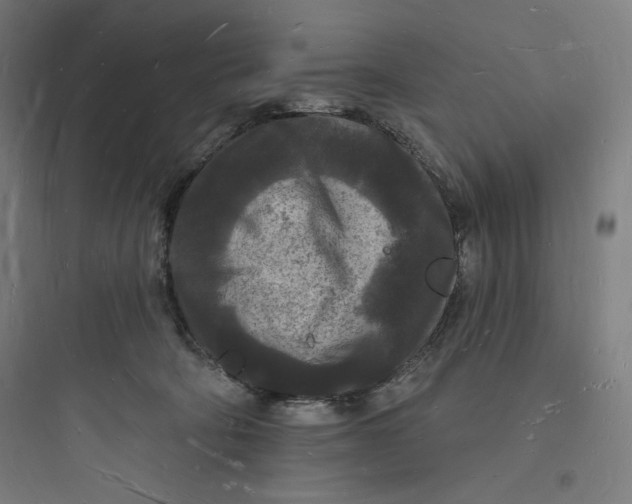 X0000093720322200711060943