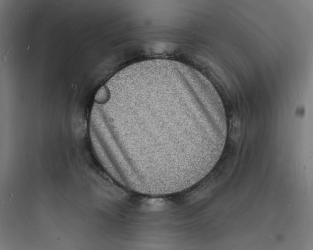 X0000093720324200711060943