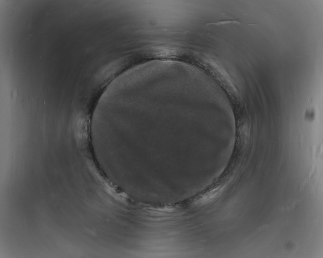 X0000093720325200711060943