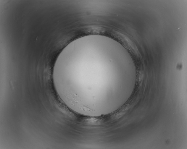 X0000093720326200711060943