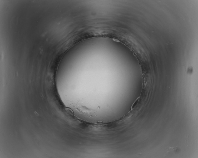 X0000093720327200711060943