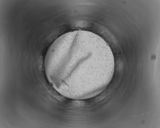 X0000093720328200711060943