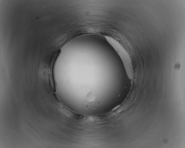 X0000093720329200711060943