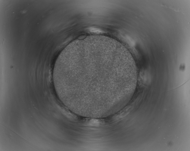 X0000093720330200711060943