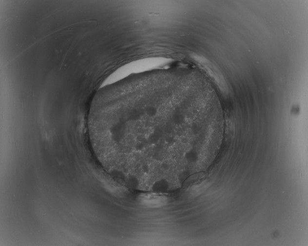 X0000093720331200711060943