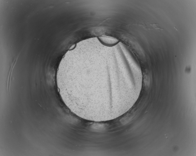 X0000093720332200711060943