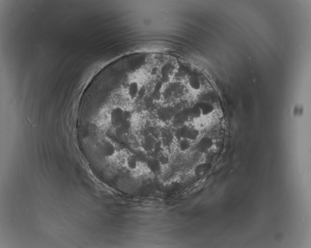 X0000093720337200711060942