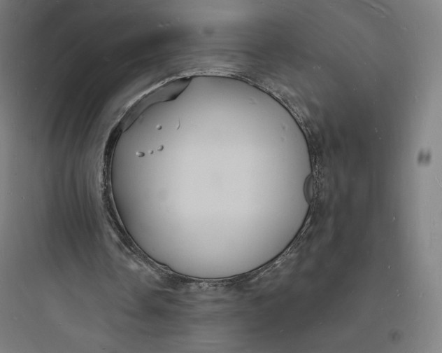 X0000093720338200711060942