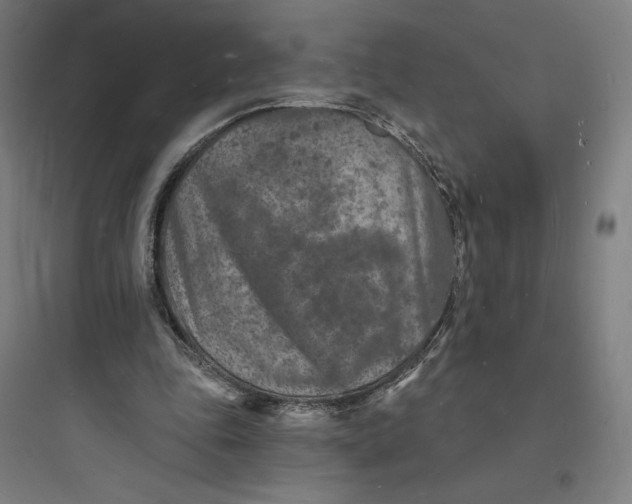 X0000093720343200711060943