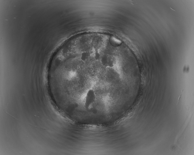 X0000093720347200711060943