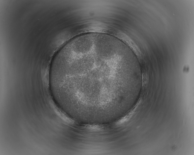 X0000093720349200711060943