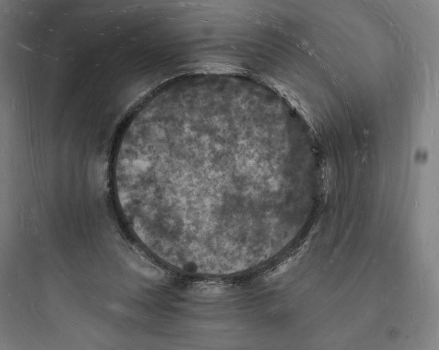 X0000093720351200711060943