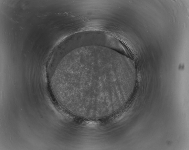 X0000093720352200711060943