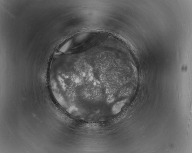 X0000093720353200711060943