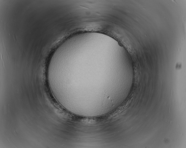 X0000093720354200711060943