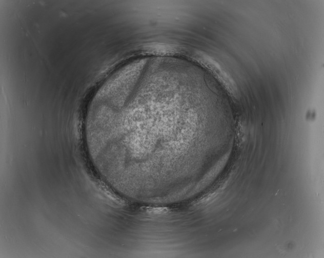 X0000093720355200711060943