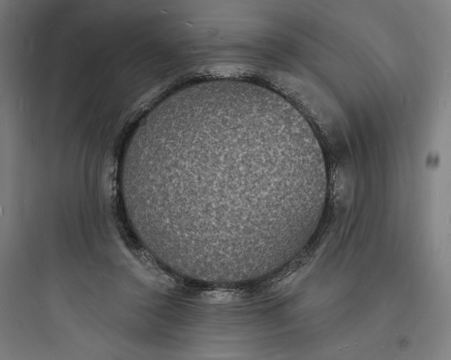 X0000093720356200711060943