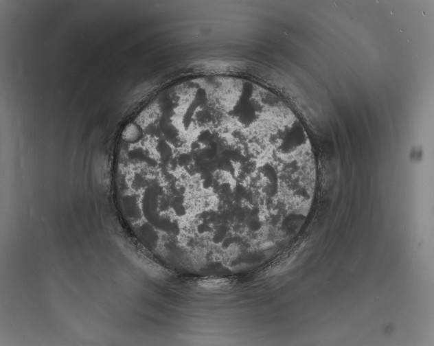 X0000093720357200711060943