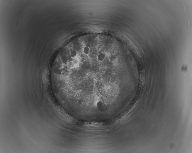 X0000093720359200711060943