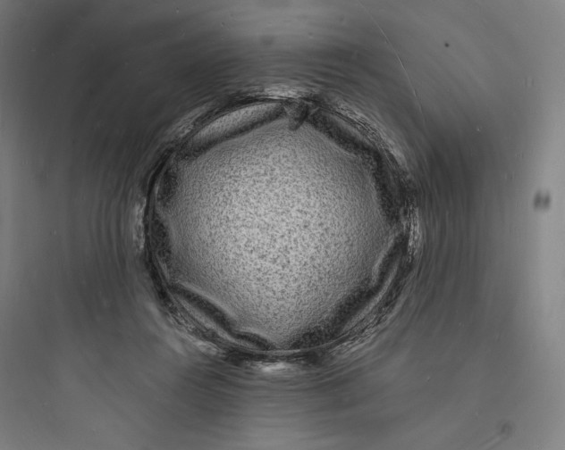 X0000093720360200711060943