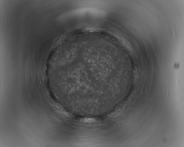 X0000093720361200711060943