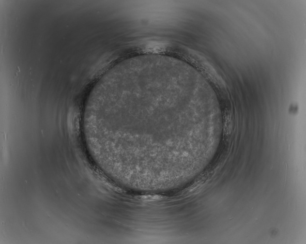 X0000093720363200711060943