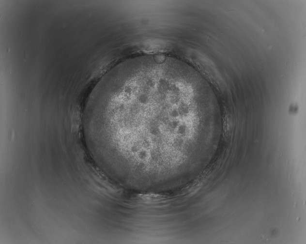 X0000093720367200711060943