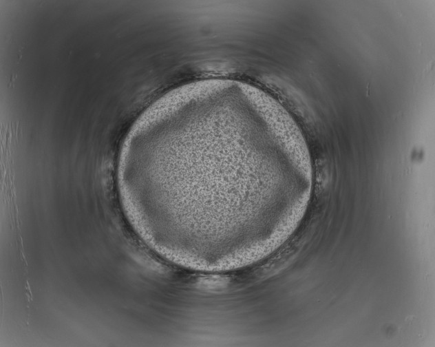 X0000093720369200711060943