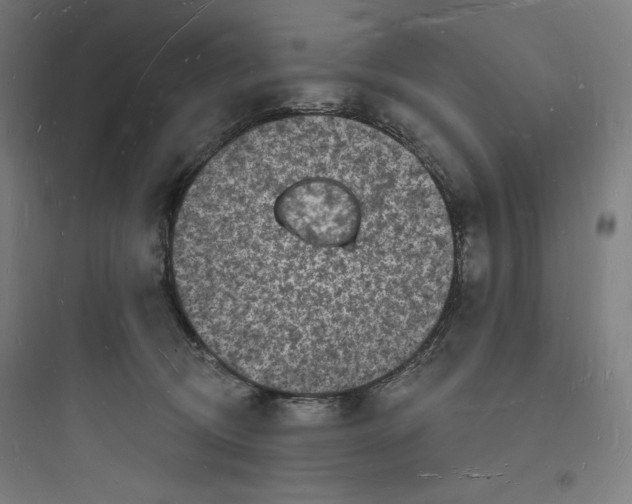 X0000093720370200711060943