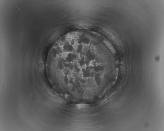 X0000093720371200711060943