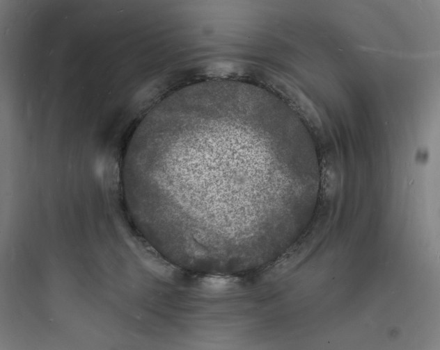 X0000093720375200711060943