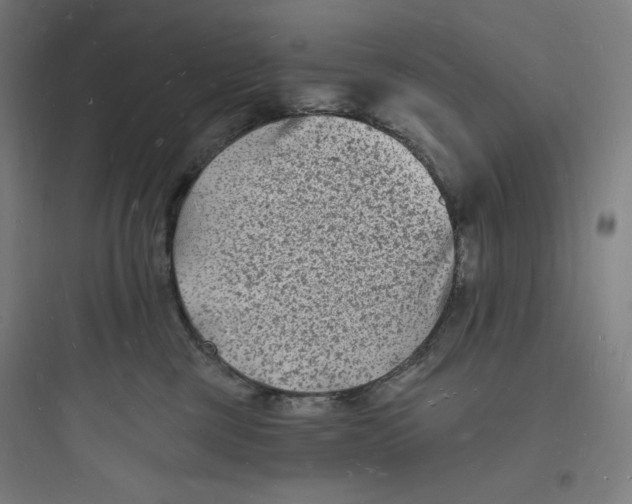 X0000093720377200711060943