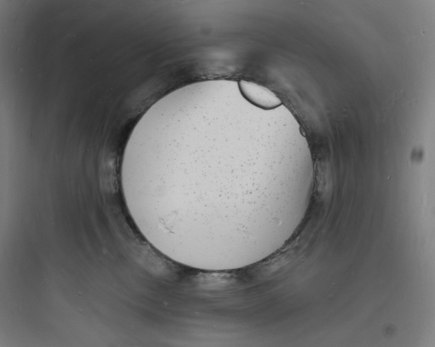 X0000093720378200711060943