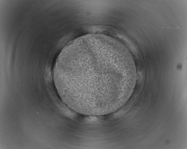 X0000093720381200711060943