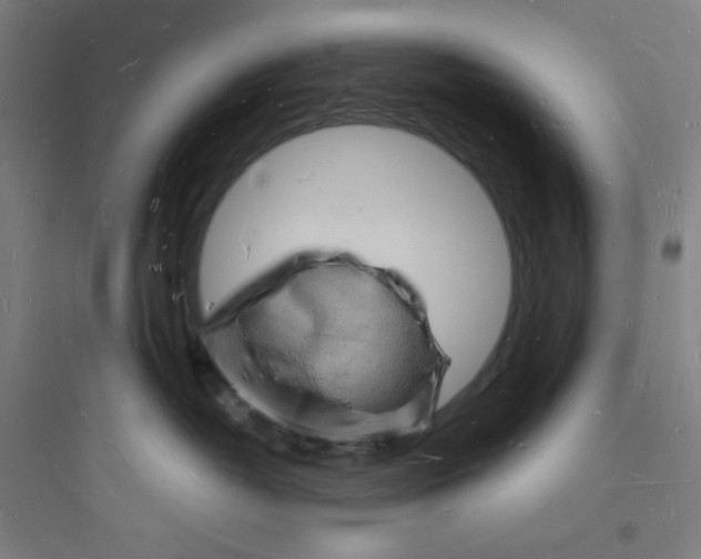 X0000093720382200711060943