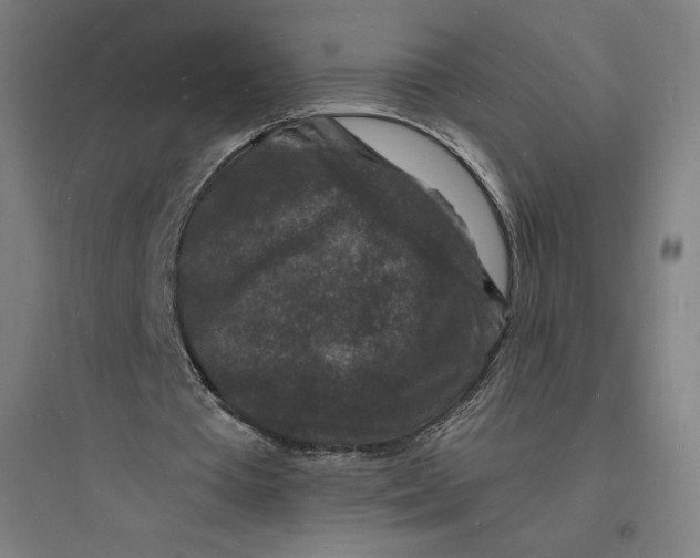 X0000093720385200711060942