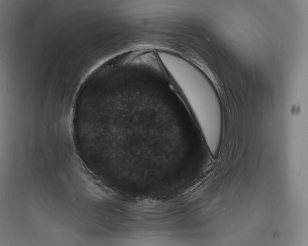 X0000093720387200711060942