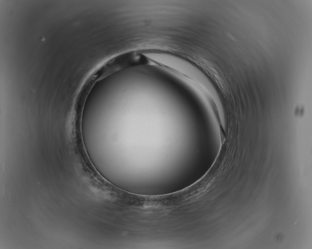 X0000093720388200711060942