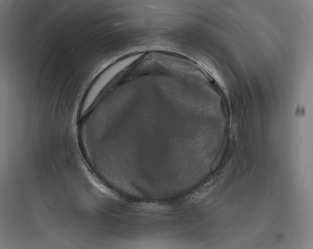 X0000093720389200711060942