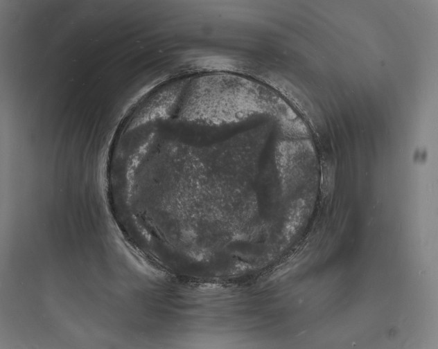 X0000093720390200711060942