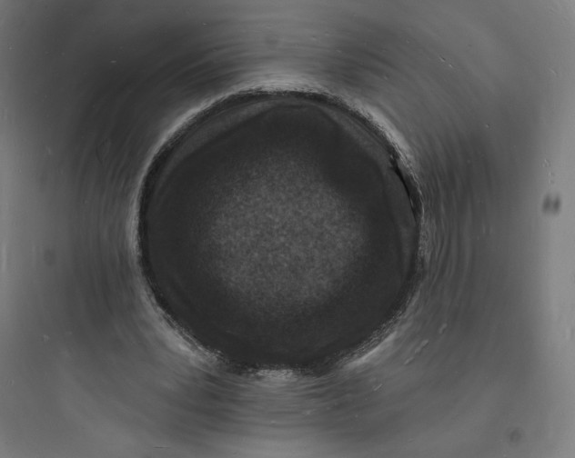 X0000093720391200711060942