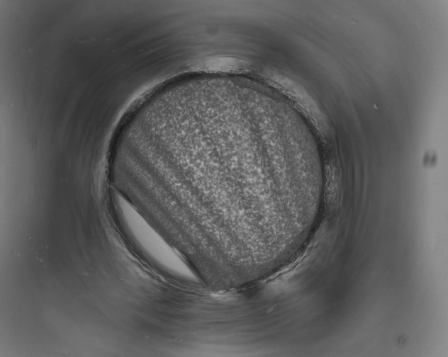 X0000093720392200711060942